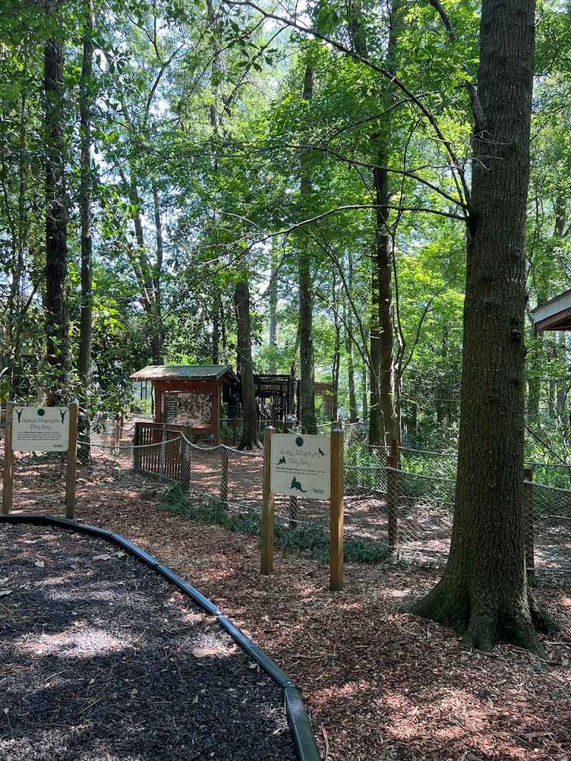 A Playground for the Little Ones