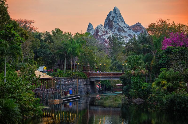 Final Thoughts: Why Animal Kingdom Deserves a Full Day