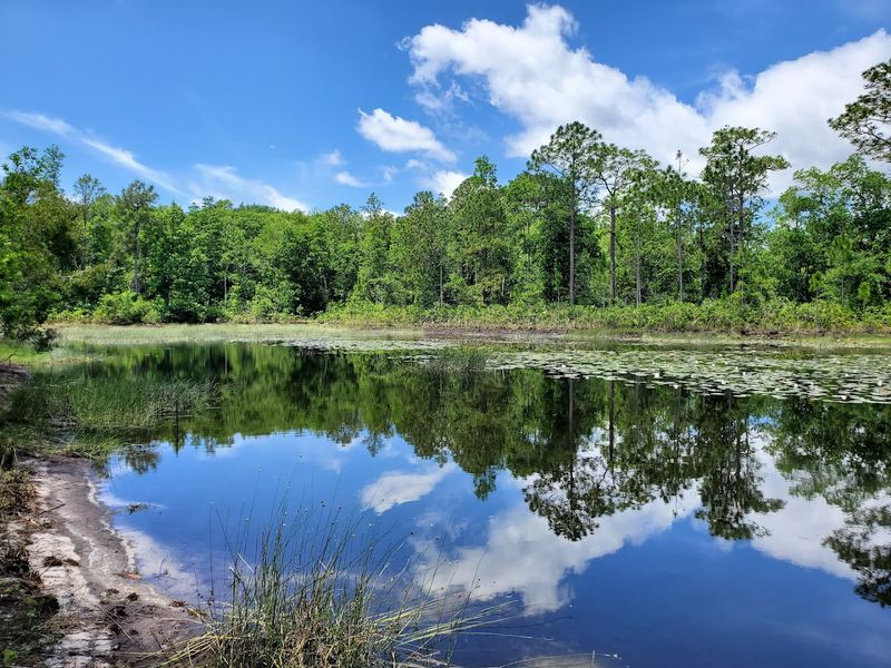 Why This Spot Keeps Pulling People Back