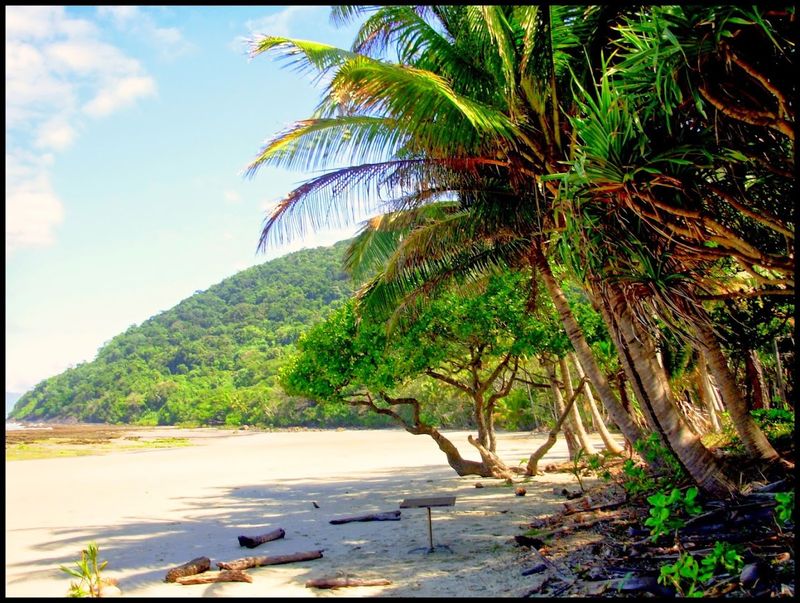 Cape Tribulation, Queensland, Australia