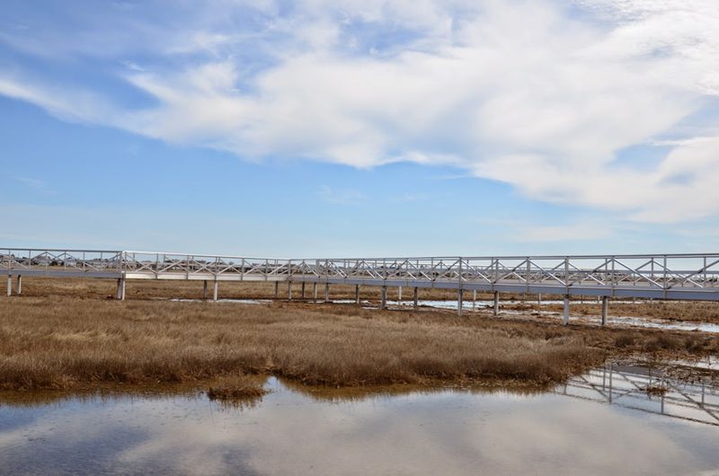 The Wetlands Institute, Stone Harbor, New Jersey