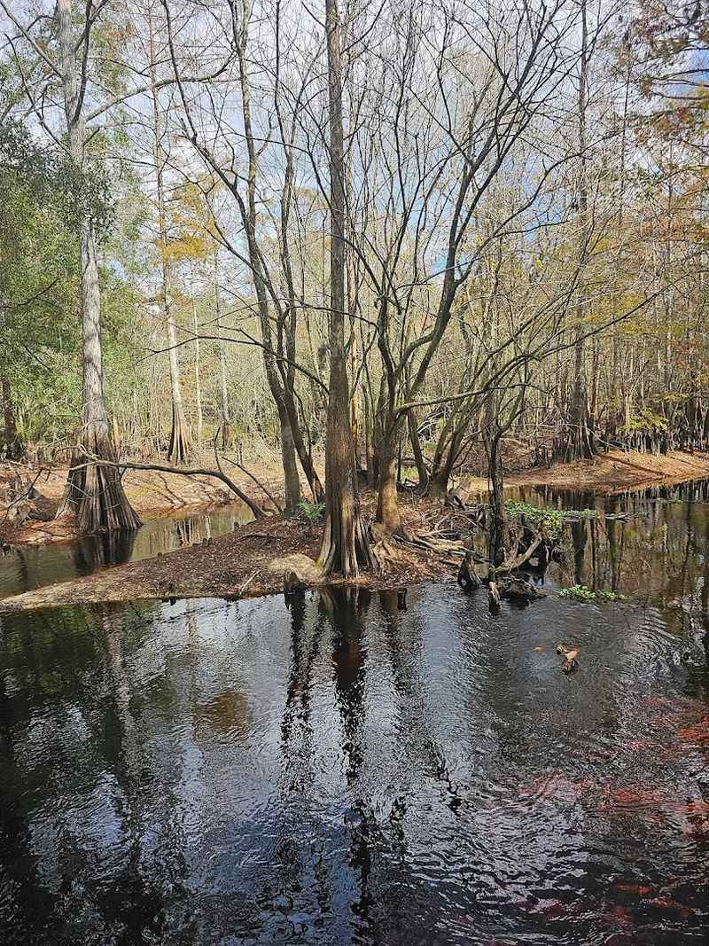 Kayaking and Canoeing the Withlacoochee River