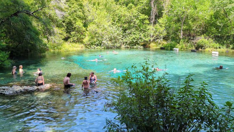 Ichetucknee Springs State Park