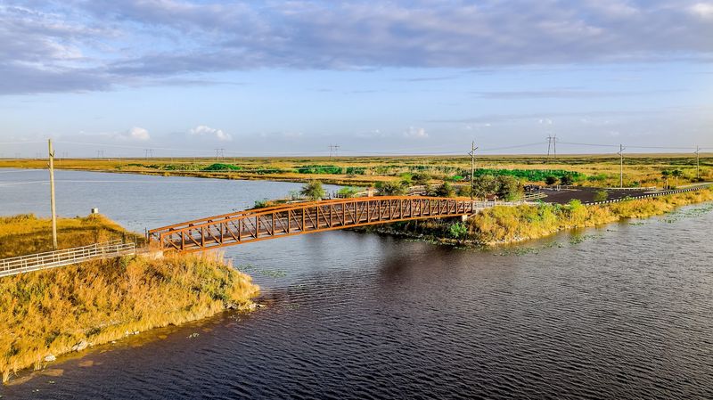 Wildlife and Nature Surrounding the City