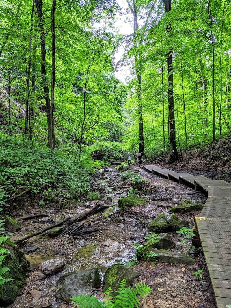 Mohican State Park - Loudonville