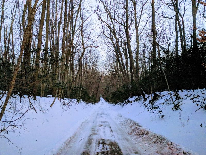 Seasonal Changes That Transform the Park