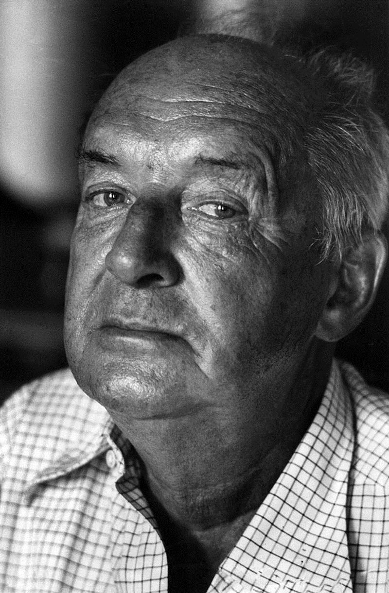 Nabokov and the Novel That Still Divides Readers