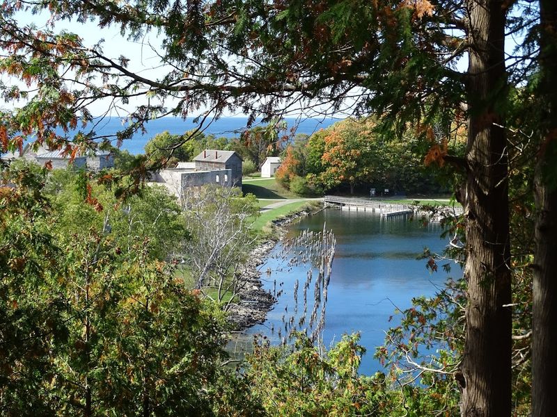 Hiking Trails Through the Surrounding Forest