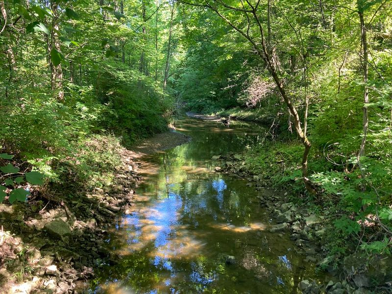 Inniswood Metro Gardens