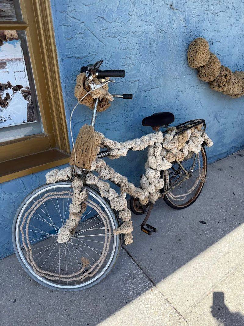 The Bike Trail: A Scenic Extension of the Experience