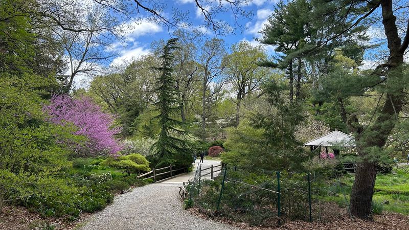 Laurelwood Arboretum, Wayne, New Jersey