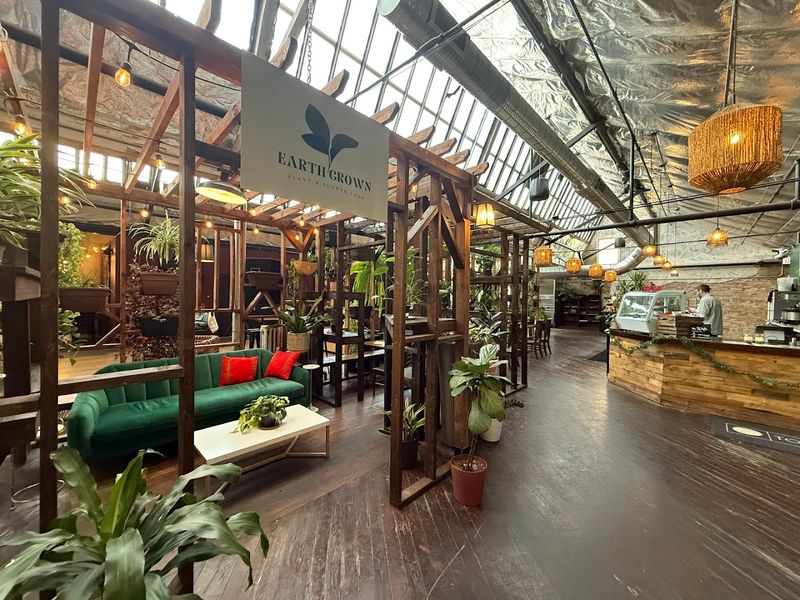 Earth Coffeehouse — Toledo