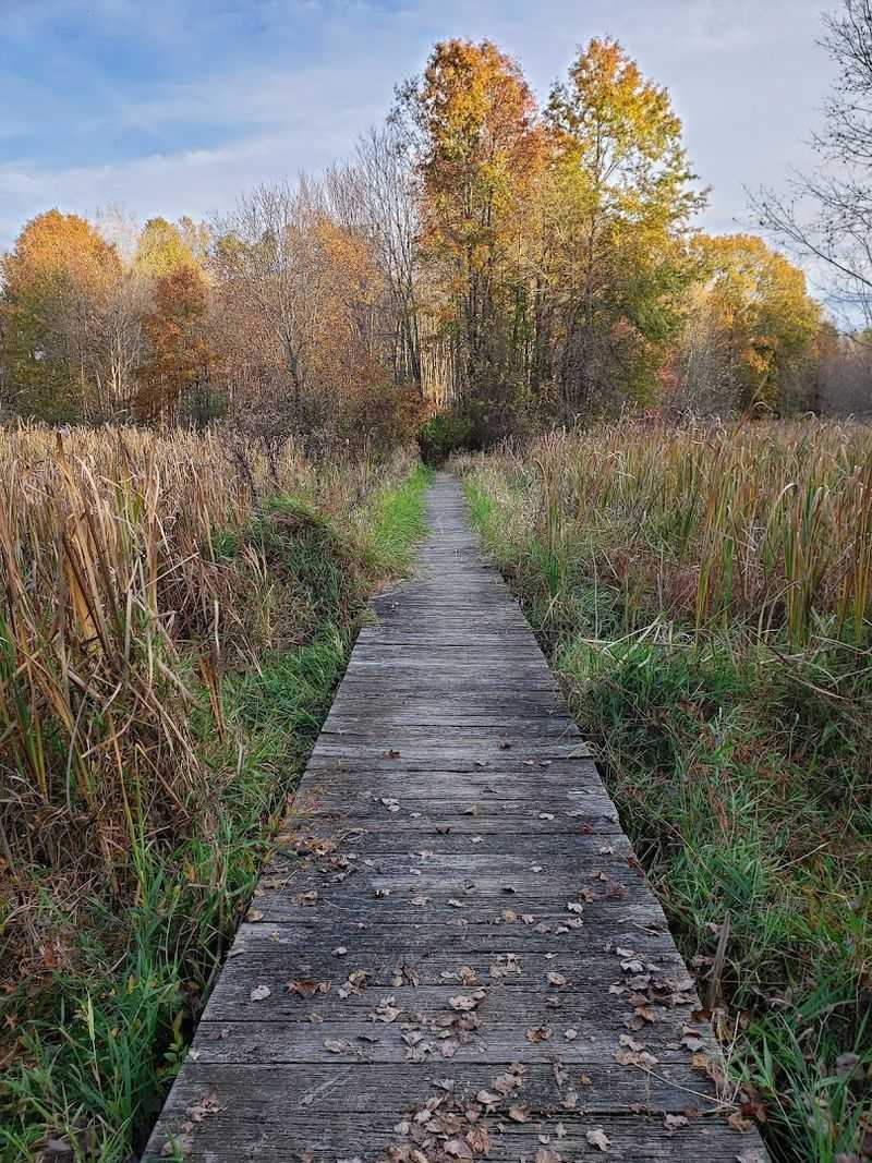 Great Swamp National Wildlife Refuge, Morris County, New Jersey