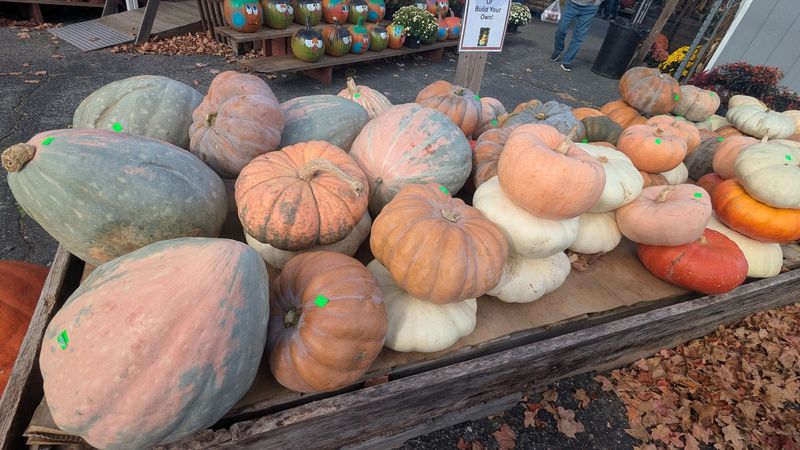 Hayrides Through the Orchard