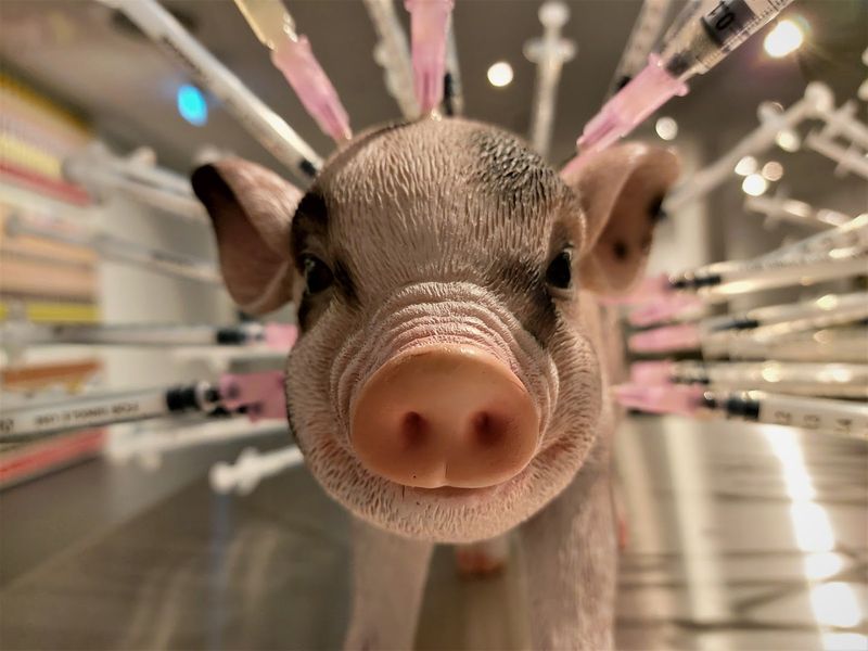 Disgusting Food Museum, Berlin