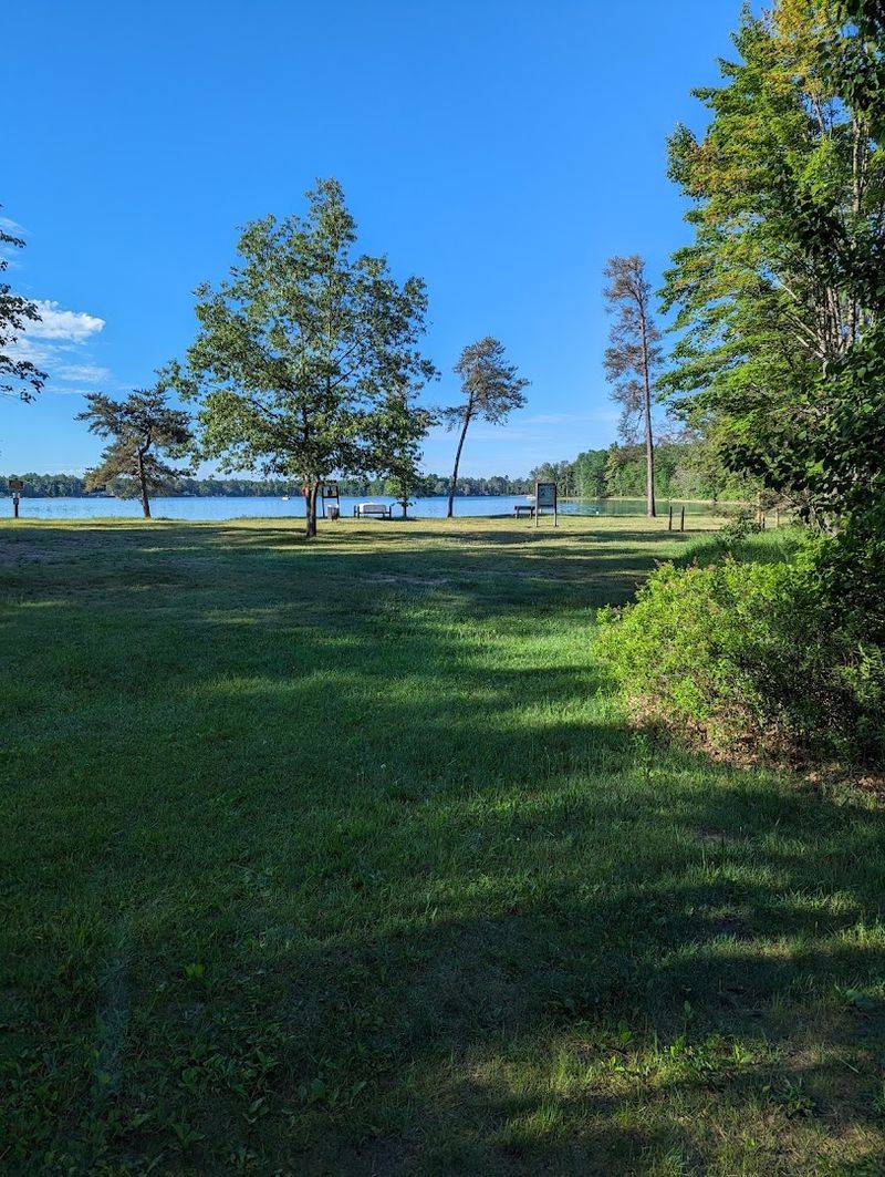 Elk Country and the Wildlife You Might Actually See