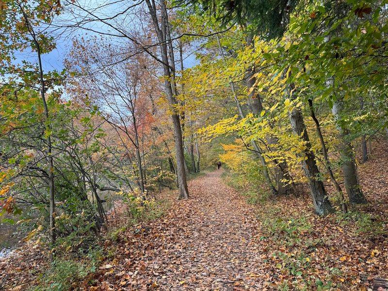 Practical Tips Before Your Visit