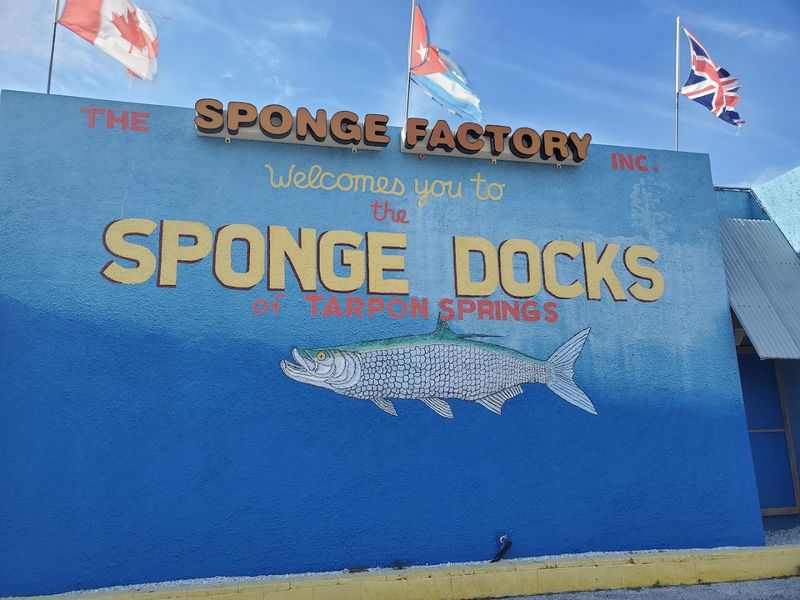 The Greek Cultural Identity That Runs Through Everything