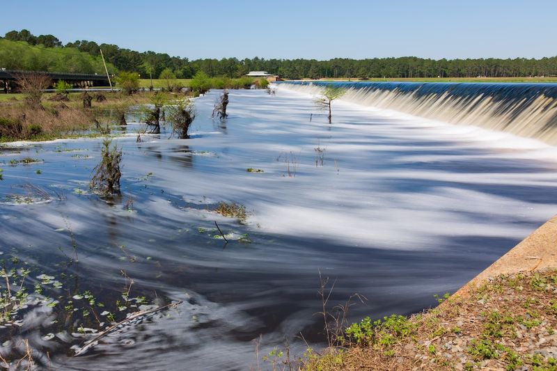Reed Bingham State Park — Adel