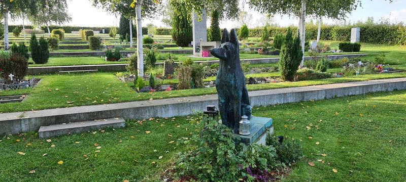 Tierfriedhof Berlin – Berlin, Germany