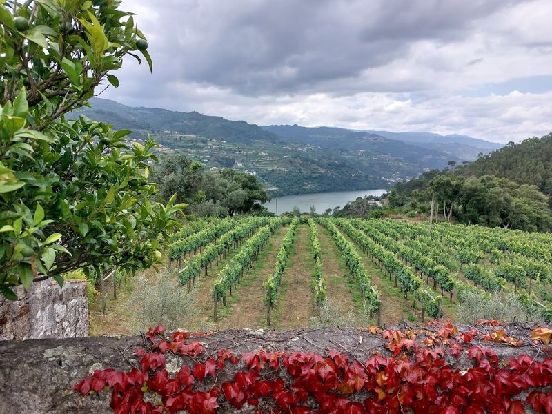 Porto & Vinho Verde (Portugal)