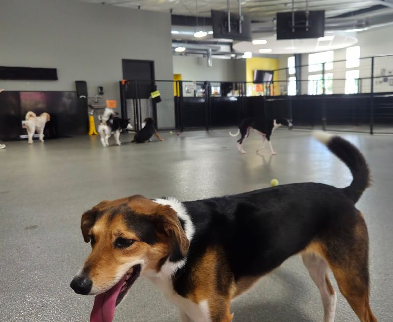 How the Day Pass and Membership System Works