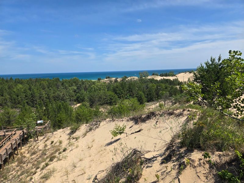 Dune Succession Trail, Indiana Dunes National Park, Indiana