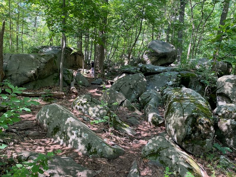 Sourland Mountain Preserve, Hillsborough and Montgomery area