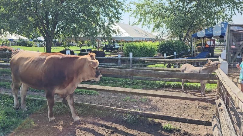 Alstede Farms in Chester, New Jersey
