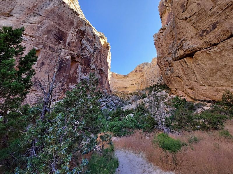 Box Canyon Trail, Dinosaur National Monument, Utah/Colorado