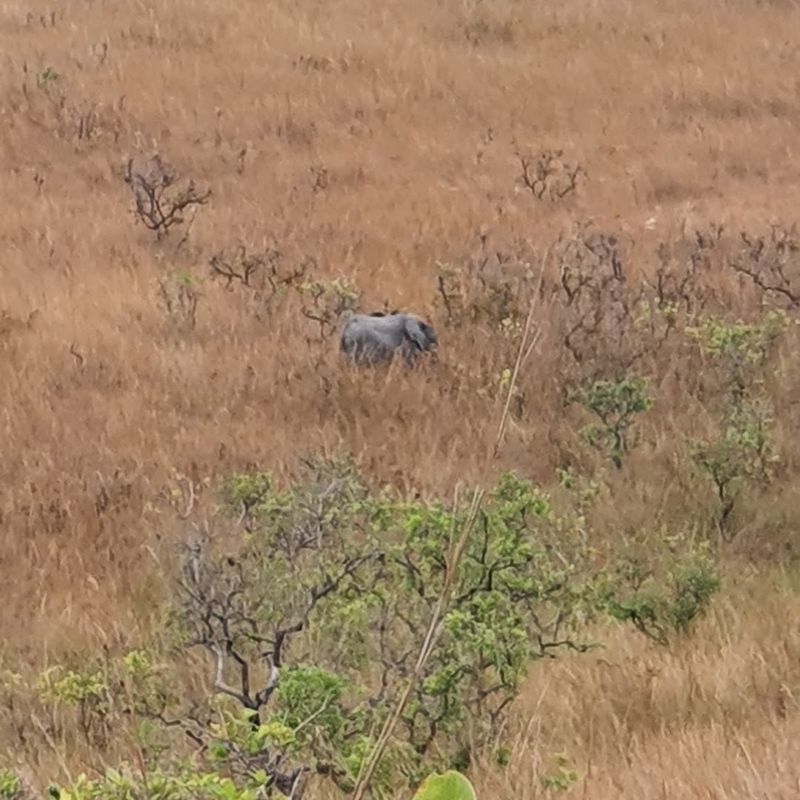 Lope National Park (Gabon)
