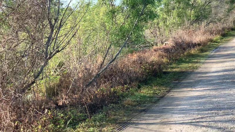 The Full Trail Network: More Miles Than You Might Expect