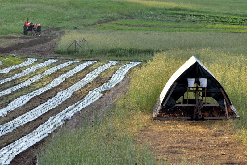 Pickup Locations That Bring the Farm to You