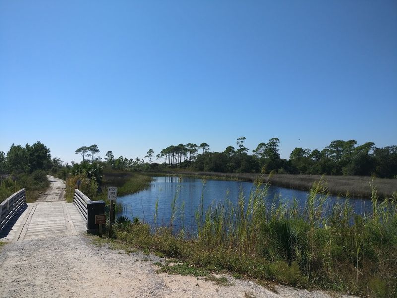 Camp Helen State Park (Panama City Beach edge)