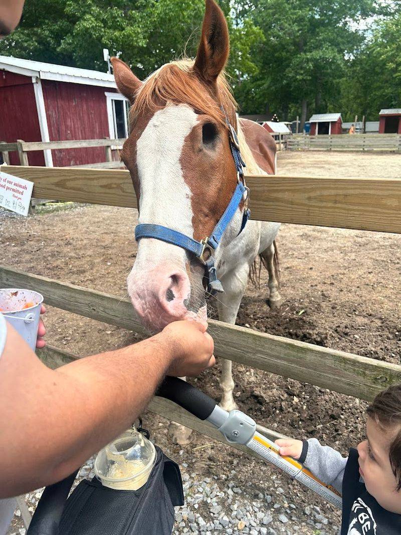 Runs Entirely on Donations