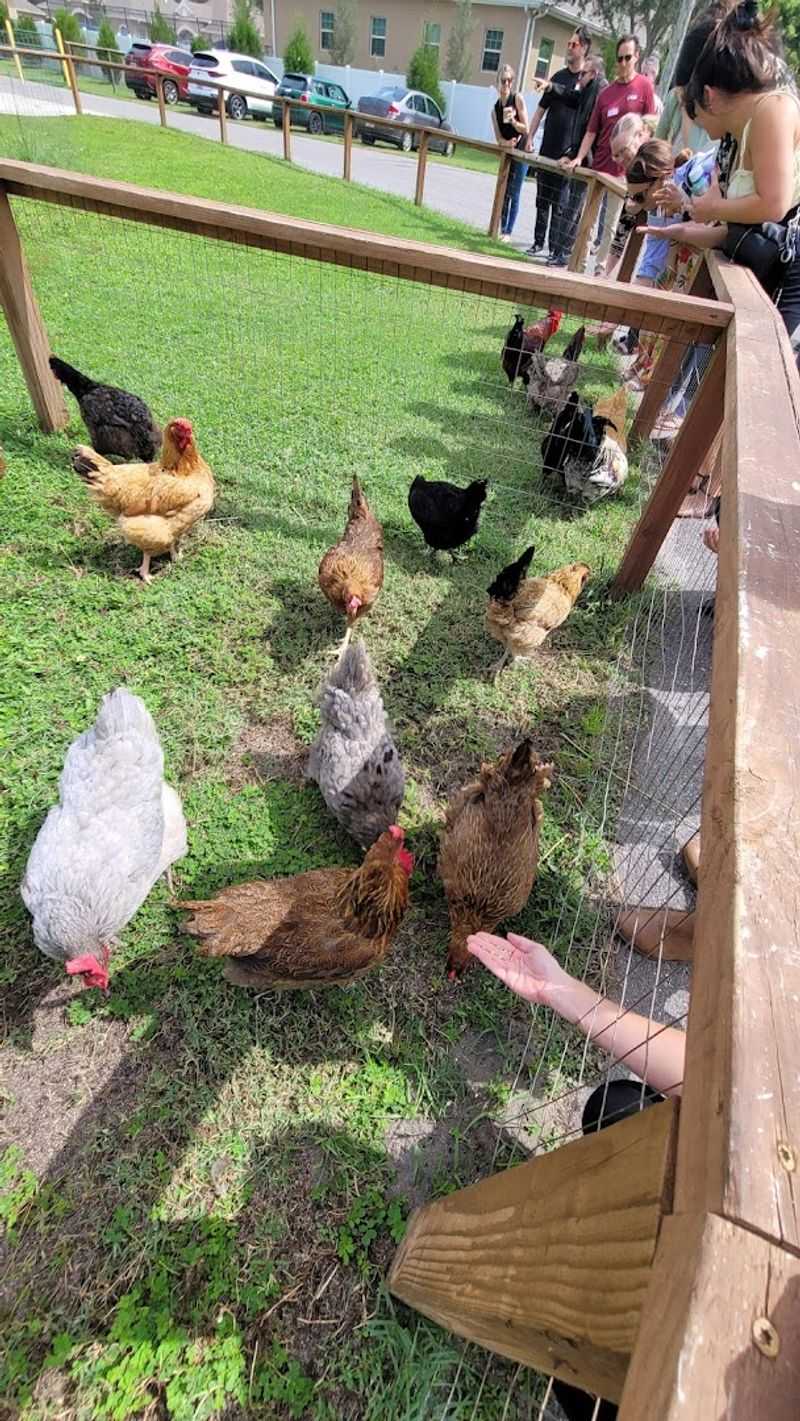 Seasonal Activities and Family-Friendly Fun