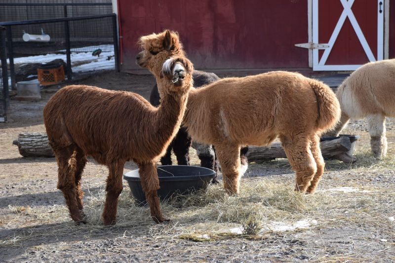 Membership Perks That Actually Make Sense