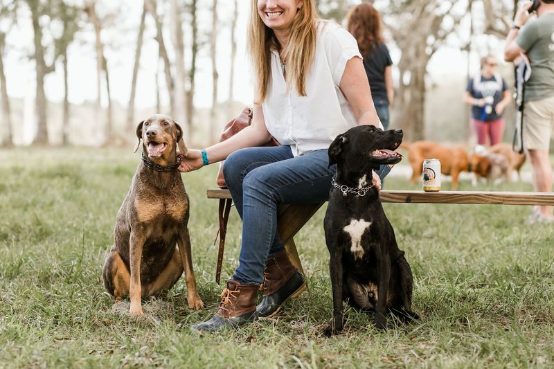 Canine Field Day: Bringing Your Dog to the Farm