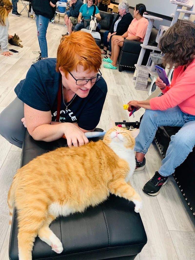 Warm Drinks, Soft Seats, and No Rush