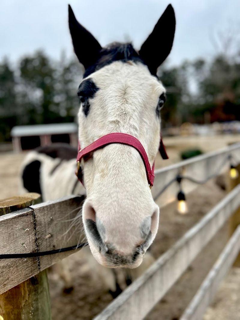 Why This Place Is Worth the Drive