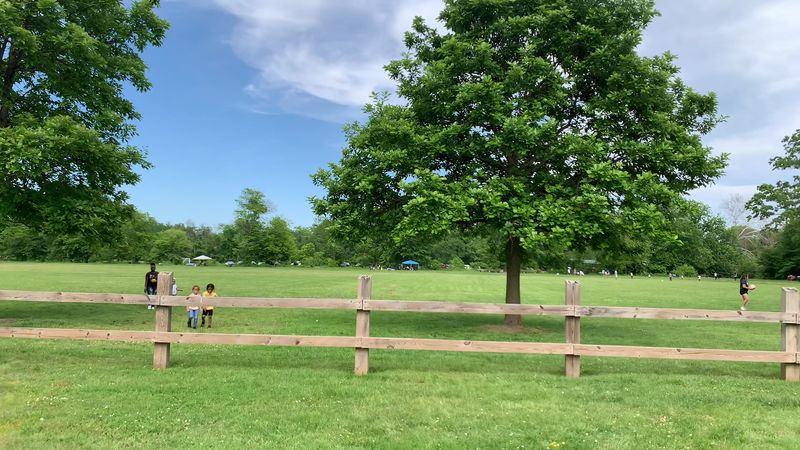 Why This Park Deserves More Attention