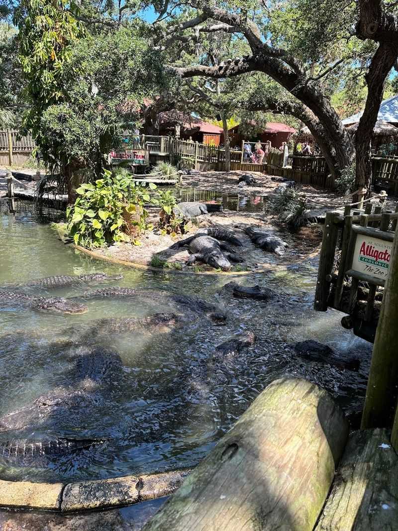 Practical Tips for Getting the Most Out of Your Visit