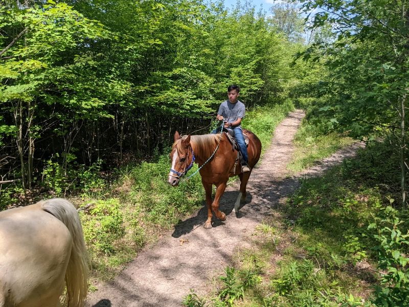 Riding Lessons That Build Real Skills Over Time