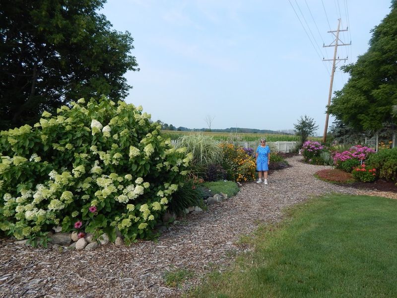 A Handmade Rake That Gardeners Keep Talking About