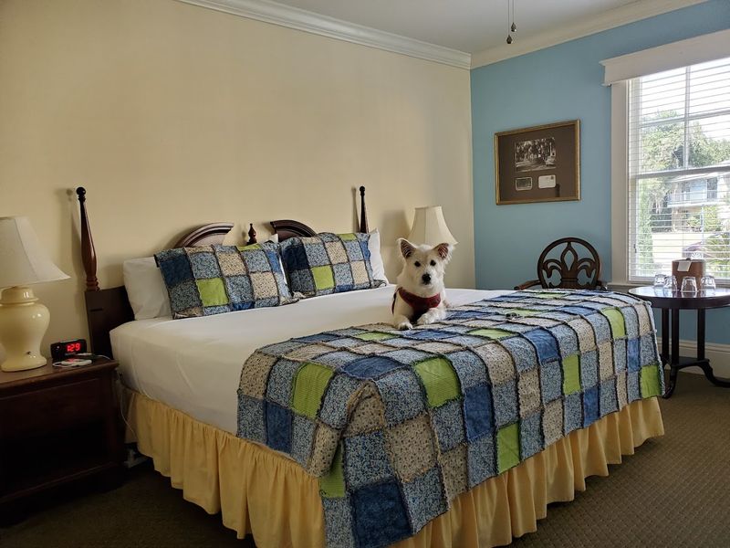 Pet-Friendly and Family-Friendly Policies