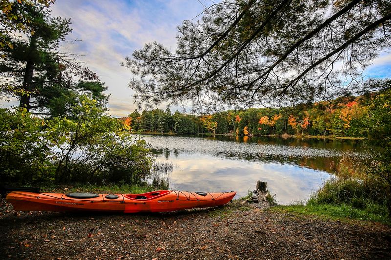 The Digital Detox You Did Not Know You Needed