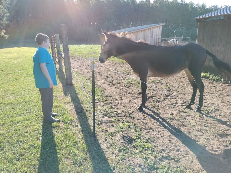 Planning Your Visit: Hours, Tips, and What to Expect