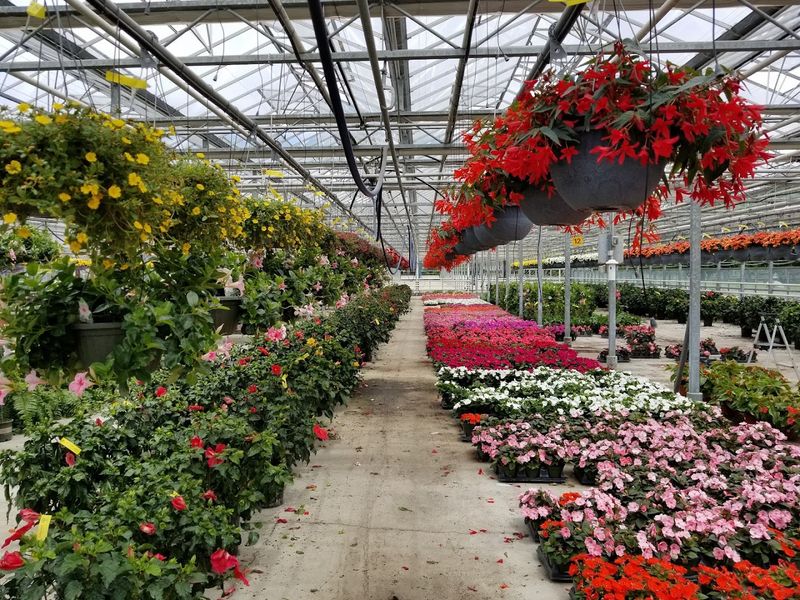 A Garden Center That Earns Its Reputation
