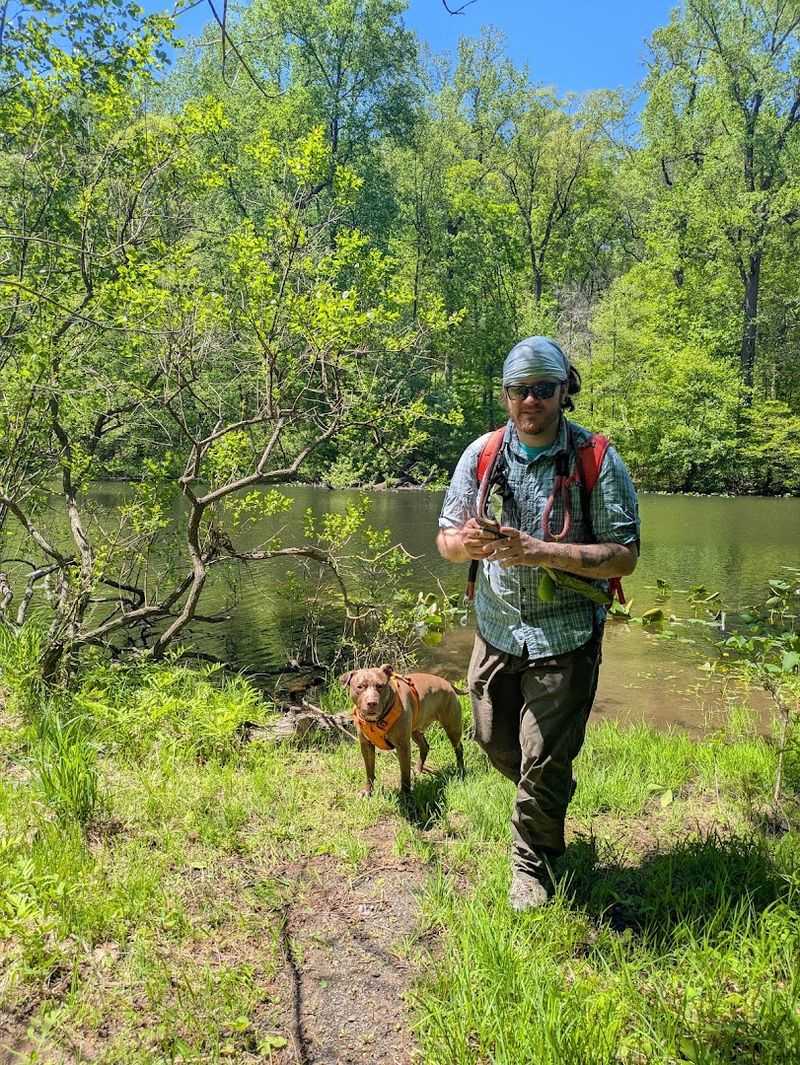 Dogs, Families, and the Everyday Crowd