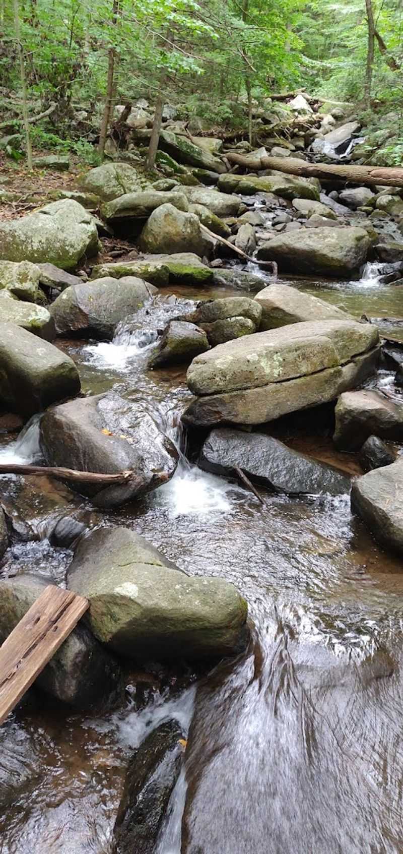 What to Know About the Rocky Terrain